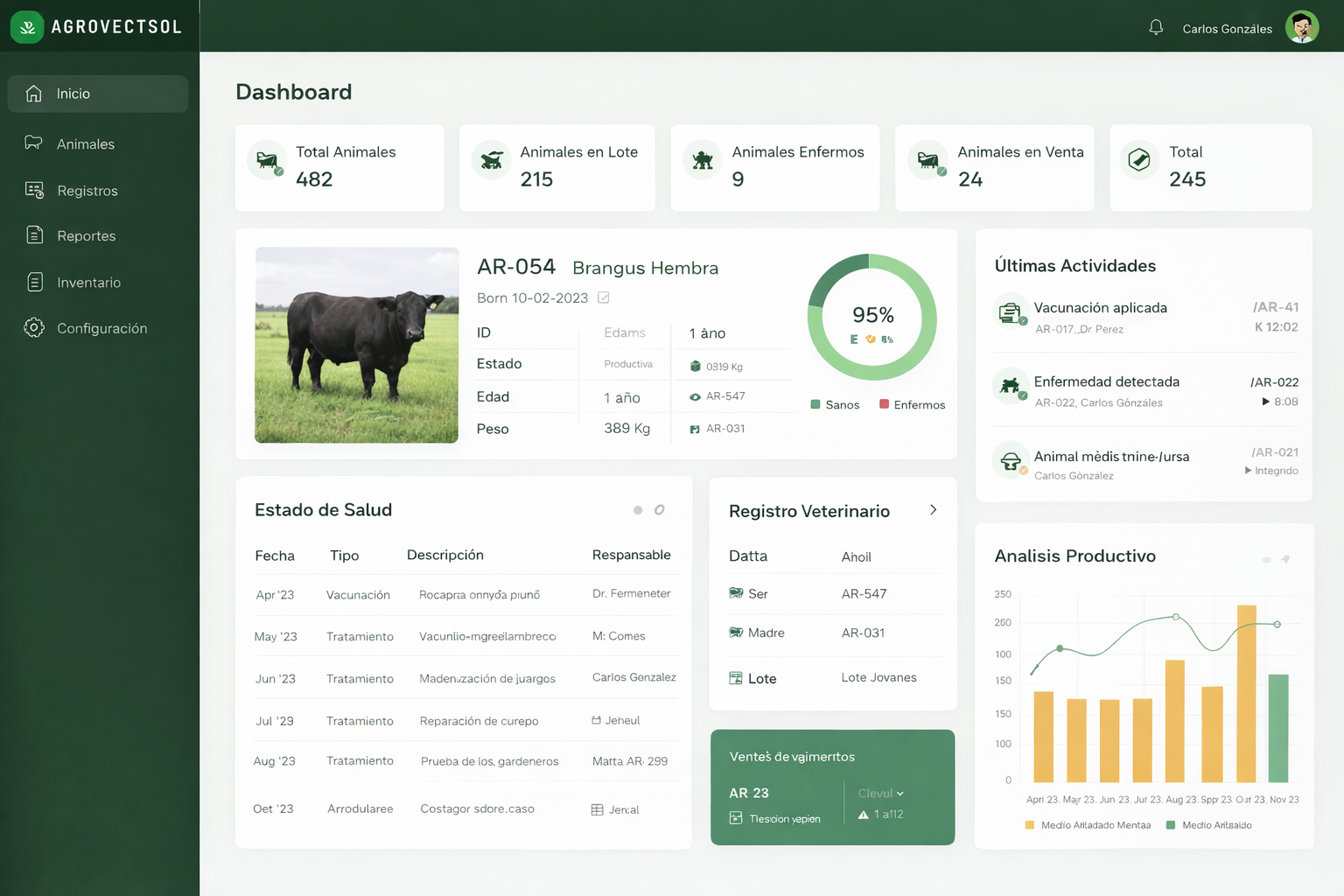 Dashboard Principal